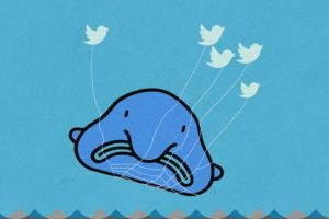 怎么看推特怎么看推特上的內(nèi)容啊