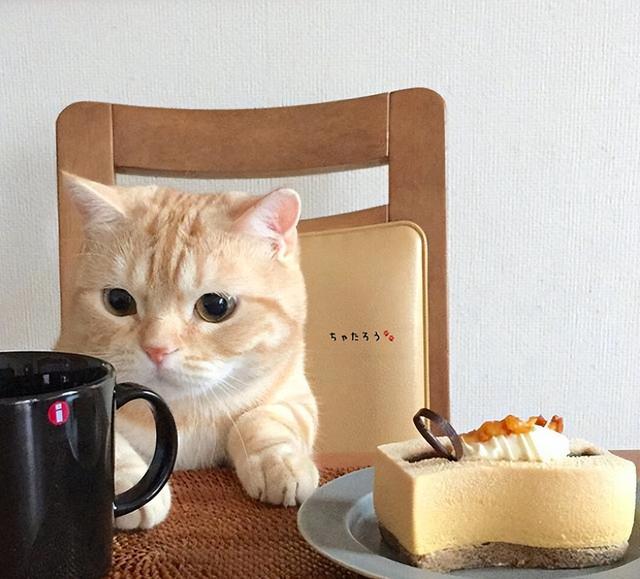 自我懲罰的方法要狠毒1到50種24小時憋尿時間表插圖8