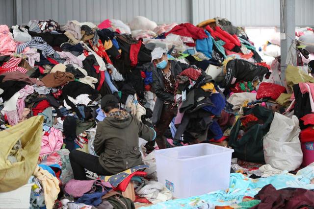 白鯨魚舊衣服回收多少錢—斤白鯨魚舊衣回收價格是多少斤插圖