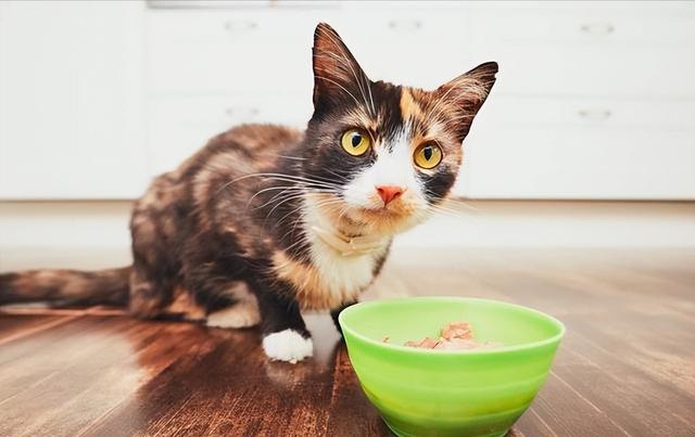 自我懲罰的方法要狠毒1到50種24小時憋尿時間表插圖7