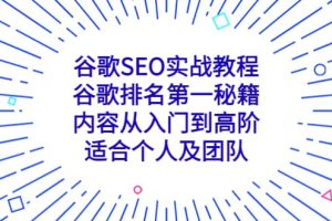 谷歌SEO實戰教程：谷歌排名第一秘籍，內容從入門到高階，適合個人及團隊