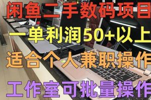 閑魚二手數碼項目，個人副業低保收入，工作室批量放大操作