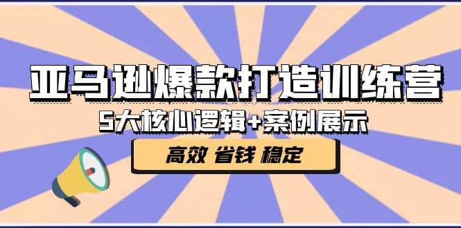 亞馬遜爆款打造訓(xùn)練營(yíng)：5大核心邏輯 案例展示 打造爆款鏈接 高效 省錢(qián) 穩(wěn)定插圖