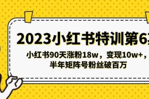 2023小紅書特訓第6期，小紅書90天漲粉18w，變現10w ，半年矩陣號粉絲破百萬