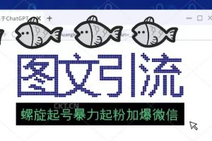 23年價值1980的圖文引流創(chuàng)業(yè)粉螺旋起好技術暴力起粉加爆微信