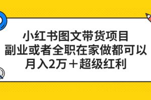 小紅書圖文帶貨項目，副業或者全職在家做都可以