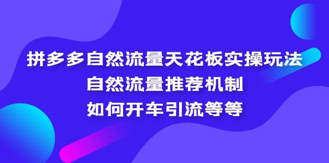 拼多多自然流量天花板實操玩法:自然流量推薦機制,如何開車引流等等插圖 拼多多自然流量天花板實操玩法:自然流量推薦機制,如何開車引流等等插圖