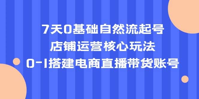 7天0基礎自然流起號，店鋪運營核心玩法，0-1搭建電商直播帶貨賬號插圖