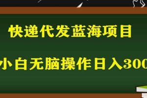 2023最新藍(lán)海快遞代發(fā)項(xiàng)目，小白零成本照抄