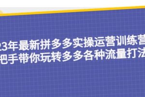 23年最新拼多多實操運營訓練營：手把手帶你玩轉多多各種流量打法！