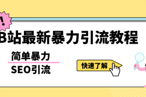 b站最新引流方法，暴力SEO引流玩法，一天可以量產幾百個視頻（附帶軟件）