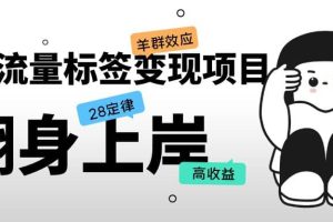 抖音流量標簽變現項目，抖音創業粉輕松轉化，單價高收益簡單