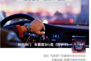 車(chē)載u盤(pán)暴力私域玩法，一部手機(jī)實(shí)現(xiàn)日入300