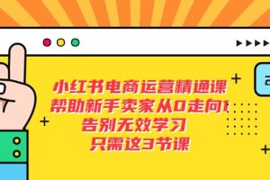 小紅書電商·運營精通課，幫助新手賣家從0走向1 告別無效學習（7節視頻課）