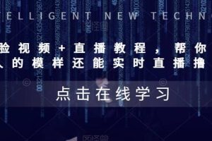 AI換臉視頻 直播教程 幫你換成別人的模樣還能實時直播擼錢 (教程 配套資料)