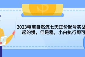2023電商自然流七天正價(jià)起號(hào)實(shí)戰(zhàn)課：起的慢，但是穩(wěn)，小白執(zhí)行即可