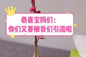 恭喜寶媽們：你們又要被我們引流了（教程 222g資料）