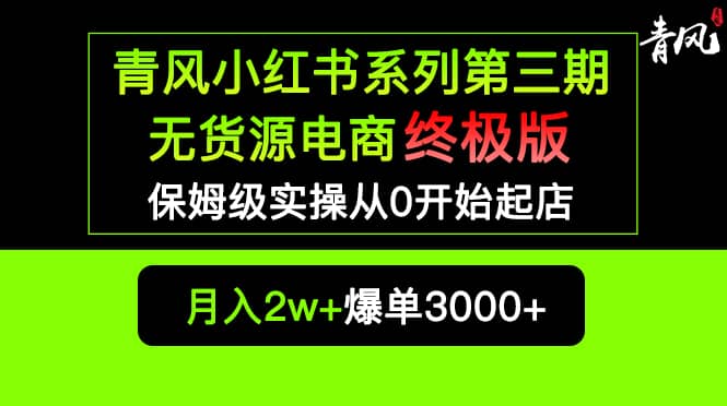 小紅書無貨源電商爆單終極版【視頻教程 實戰手冊】保姆級實操從0起店爆單插圖