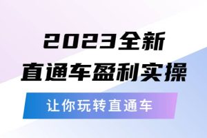 2023全新直通車·盈利實操：從底層，策略到搭建，讓你玩轉直通車