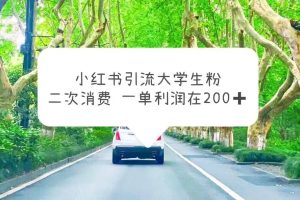小紅書引流大學(xué)生粉，變現(xiàn)項目，一單利潤在200 （教程 資源）