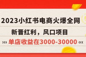 2023小紅書電商火爆全網(wǎng)，新晉紅利，風(fēng)口項目，單店收益在3000-30000
