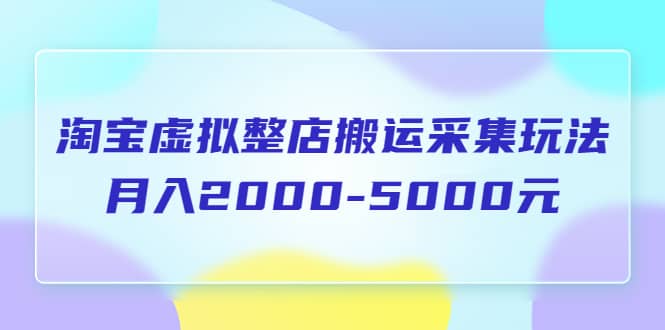 淘寶虛擬整店搬運采集玩法分享課：月入2000-5000元（5節課）插圖
