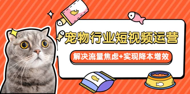 寵物/行業短視頻運營 流量增長的一層窗戶紙 解決流量焦慮 實現降本增效插圖