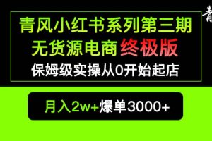 小紅書無貨源電商爆單終極版【視頻教程 實戰手冊】保姆級實操從0起店爆單