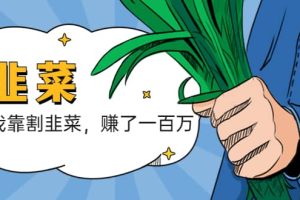 我靠割韭菜 賺了一百萬