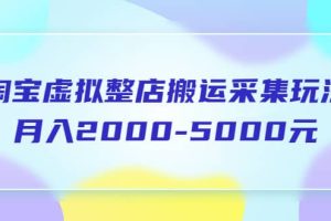淘寶虛擬整店搬運采集玩法分享課：月入2000-5000元（5節課）