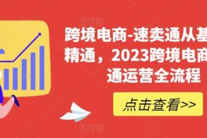 速賣通從0基礎到精通，2023跨境電商-速賣通運營實戰全流程