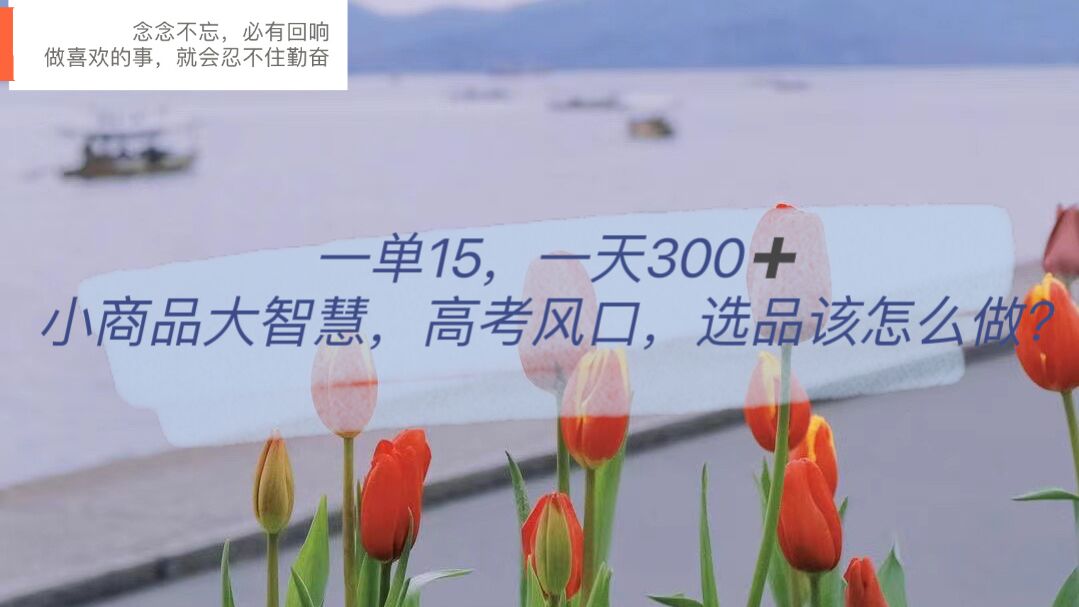 一單15，一天300 ，小商品大智慧，高考風口，選品該怎么布局插圖
