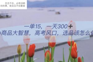 一單15，一天300 ，小商品大智慧，高考風口，選品該怎么布局