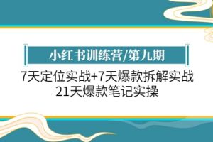 小紅書訓(xùn)練營/第九期：7天定位實戰(zhàn) 7天爆款拆解實戰(zhàn)，21天爆款筆記實操