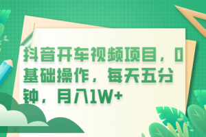 抖音開車視頻項目，0基礎(chǔ)操作，每天五分鐘，月入1W