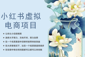 小紅書虛擬電商從0到1，讓你從小白到精英（20節(jié)實(shí)操課程）