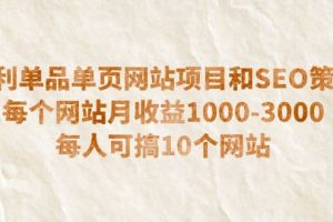 暴利單品單頁網站項目和SEO策略 每個網站月收益1000-3000 每人可搞10個