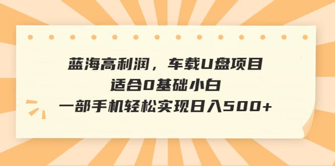 藍海高利潤,車載U盤項目,適合0基礎小白,一部手機輕松實現日入500插圖 藍海高利潤,車載U盤項目,適合0基礎小白,一部手機輕松實現日入500插圖