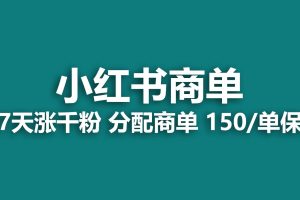 2023最強藍海項目，小紅書商單項目，沒有之一