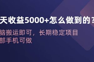 一天收益5000 怎么做到的？無腦搬運即可，長期穩定項目，一部手機可做