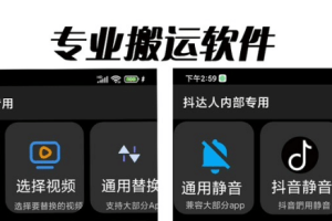 對(duì)外收費(fèi)699抖音傻瓜式一鍵搬運(yùn)，起號(hào)專用5分鐘一個(gè)視頻《軟件 詳細(xì)教程》