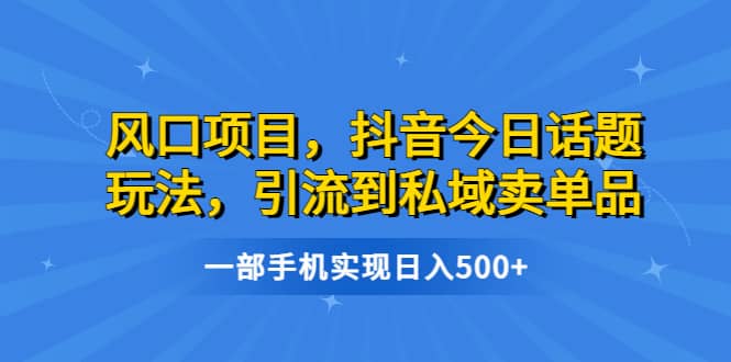 風口項目，抖音今日話題玩法，引流到私域賣單品，一部手機實現日入500插圖