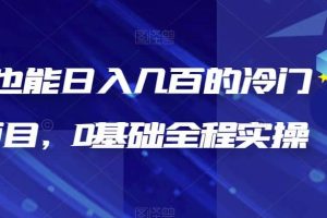 新手也能日入幾百的冷門DIY項目，0基礎(chǔ)全程實操【揭秘】