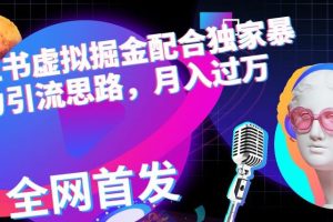 小紅書虛擬掘金配合獨家首發(fā)暴力引流思路，月入過萬【揭秘】