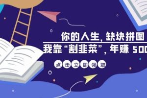 某高贊電子書《你的 人生，缺塊 拼圖——我靠“割韭菜”，年賺 500 萬》