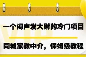一個悶聲發大財的冷門項目，同城家教中介，操作簡單，一個月變現7000 ，保姆級教程