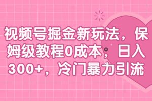 視頻號掘金新玩法，保姆級教程0成本，日入300 ，冷門暴力引流