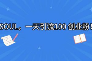 SOUL，一天引流100 創(chuàng)業(yè)粉