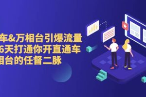 直通車 萬(wàn)相臺(tái)引爆流量班，6天打通你開直通車·萬(wàn)相臺(tái)的任督 二脈
