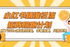 小紅書精準引流·矩陣陪跑計劃:燒了200w得出的經驗,手握流量,興風作浪!